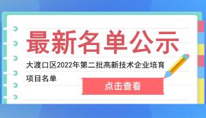 大渡口區2022年第二批高新技術企業培育項目名單