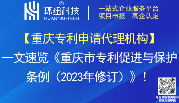 重慶市專利促進(jìn)與保護(hù)條例(2023年修訂)