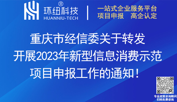 2023年新型信息消費示范項目申報